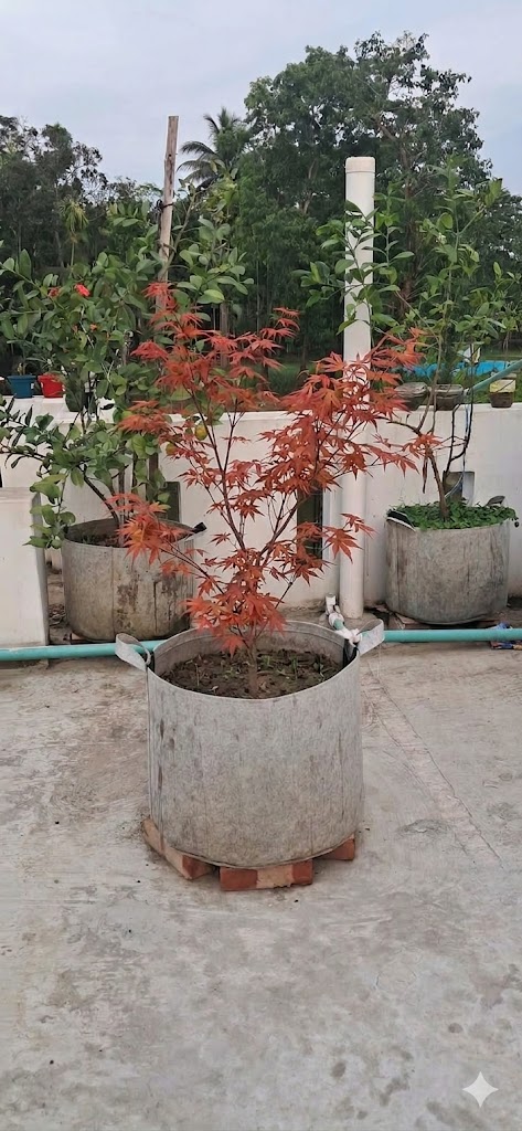 30 Gallon 21x21