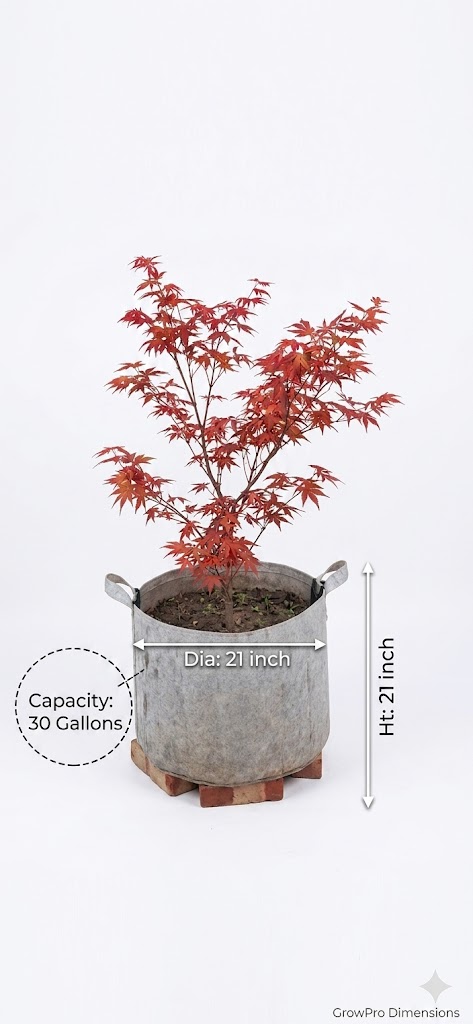 ৩০ গ্যালন জিও গ্রো ব্যাগ (600 GSM)