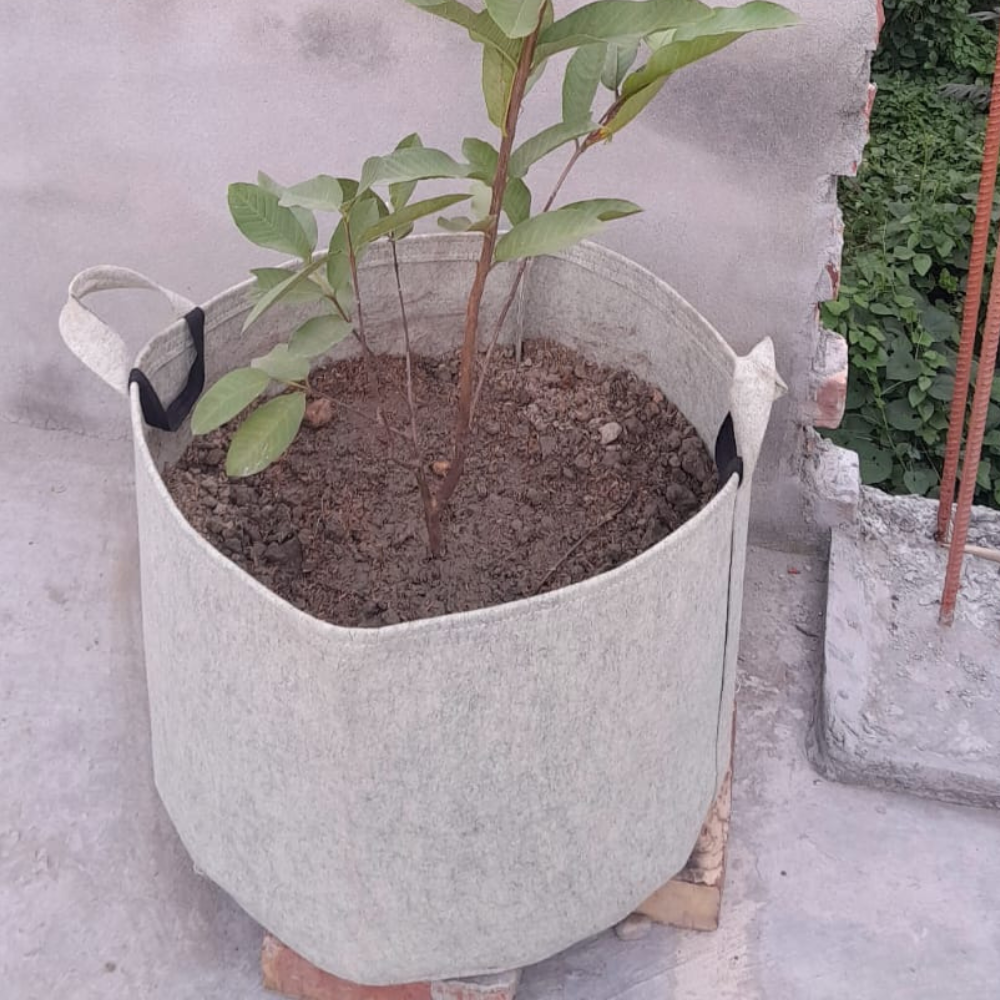 ২৫ গ্যালন জিও গ্রো ব্যাগ (500 GSM)